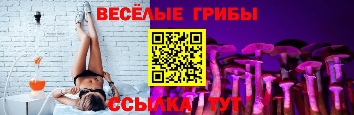 Морозовск  где купить наркоту  Вход с VPN  Псилоцибиновые грибы мицелий 